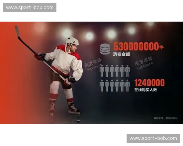 数据冰球：把数据打造成企业的致胜黑冰